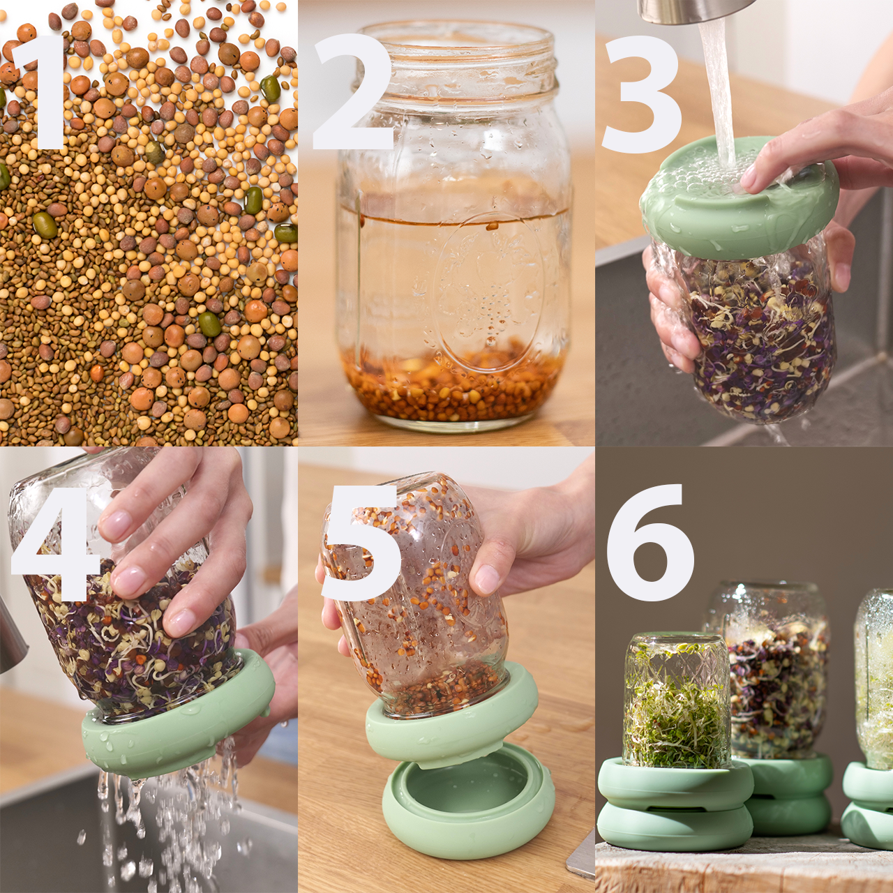 Food Huggers Sprout Huggers Sprossendeckel Set aus Silikon für Gläser