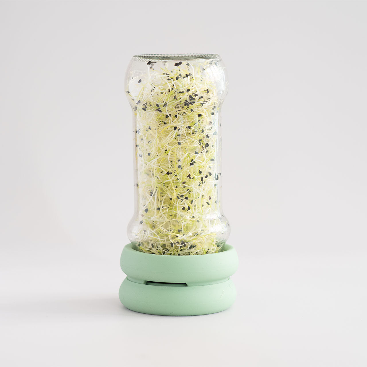 Food Huggers Sprout Huggers Sprossendeckel Set aus Silikon für Gläser