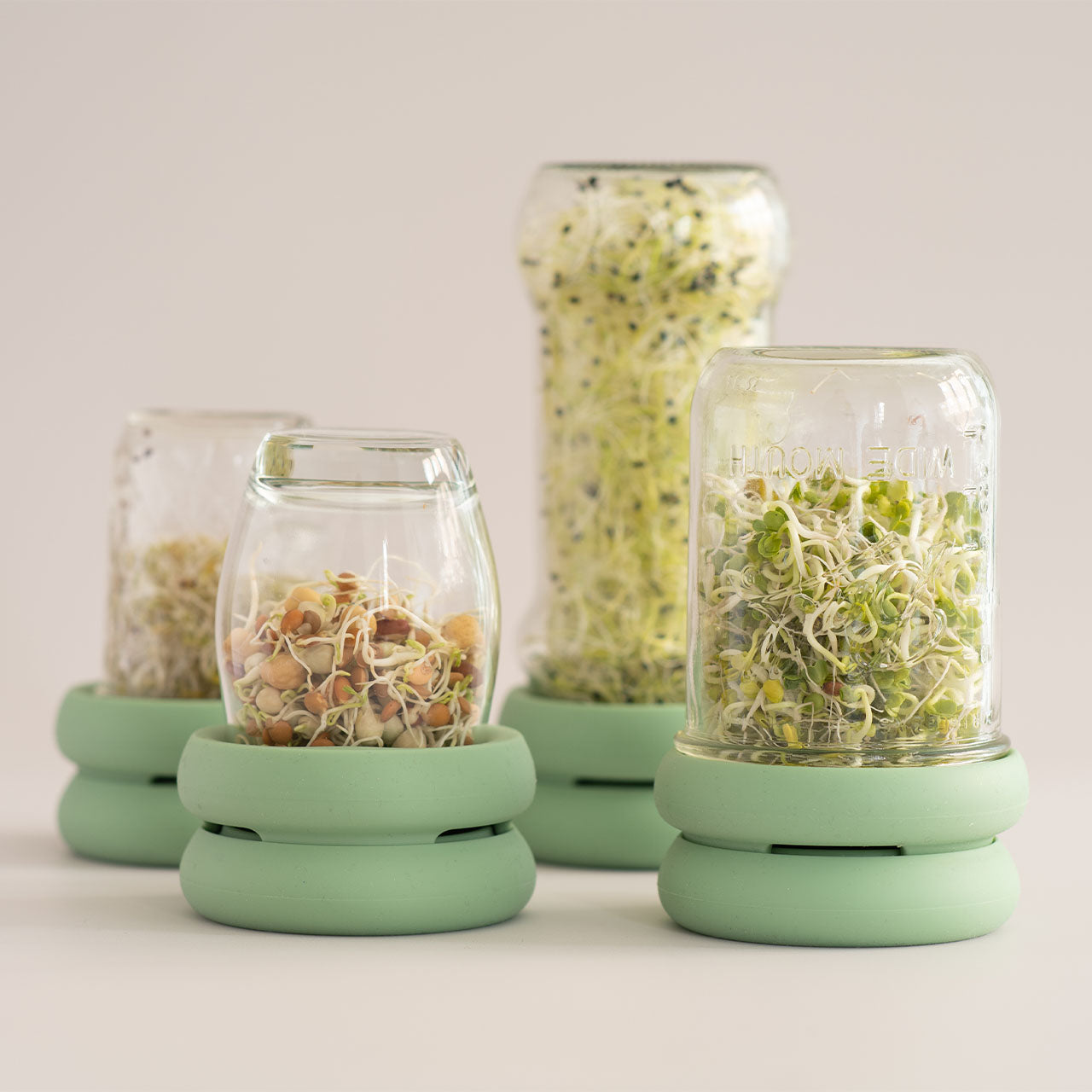 Food Huggers Sprout Huggers Sprossendeckel Set aus Silikon für Gläser