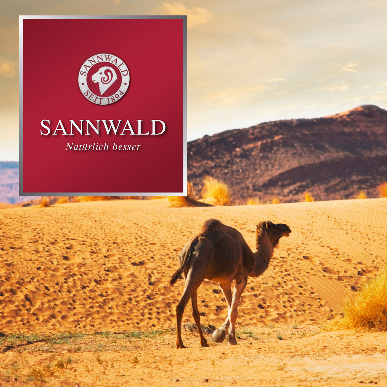 Sannwald Kairo Kopfkissen mit Wolle Füllung