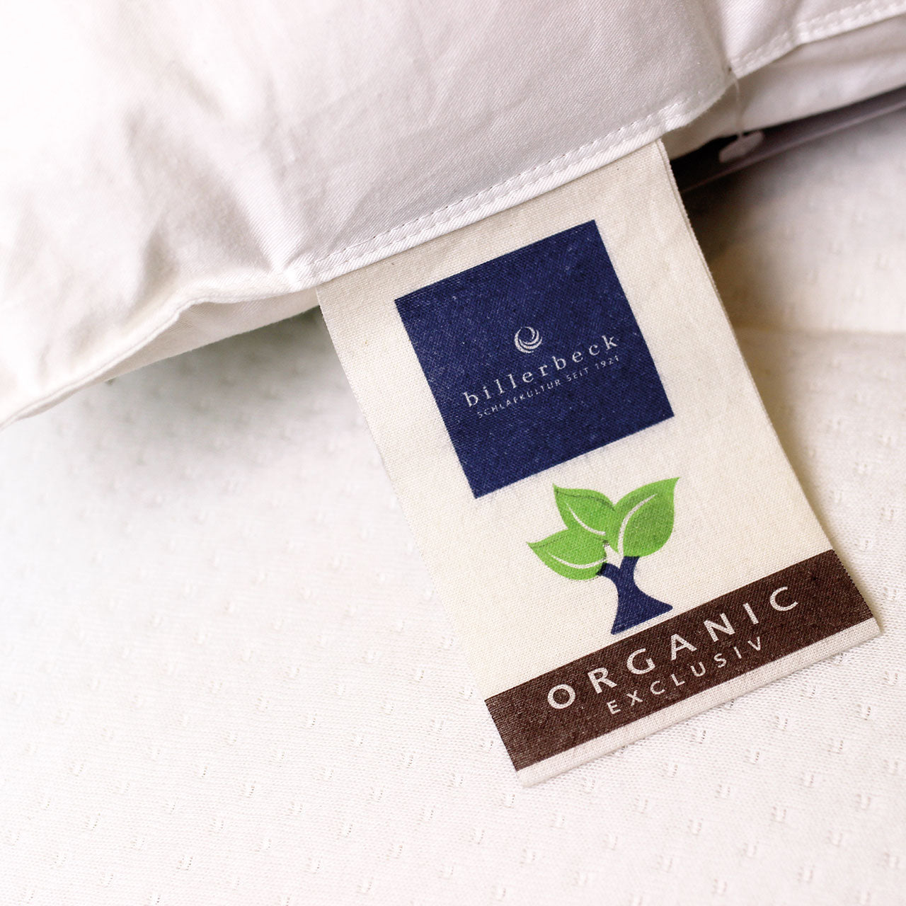 Billerbeck COSIDREAM® NATURE Uno Ganzjahres-Bettdecke mit Schafschurwolle-Füllung