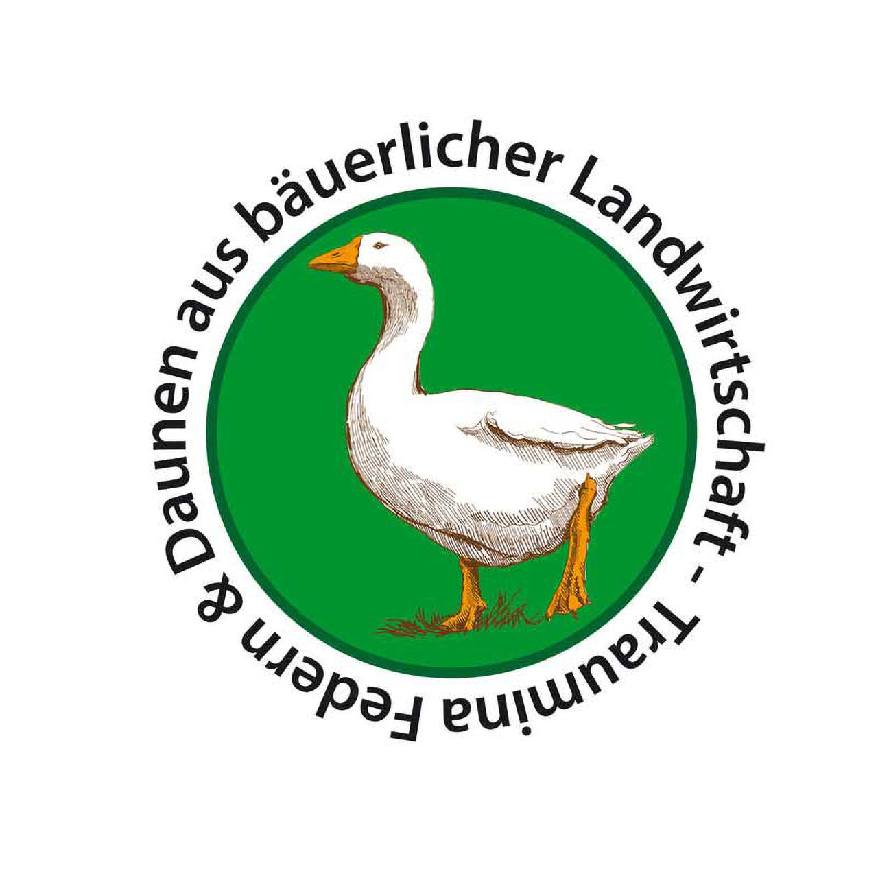 Traumina Plume Kopfkissen mit Bio Daunen Füllung