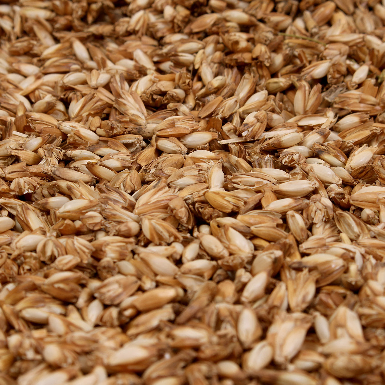 Mudis Nackenhörnchen mit Bio Dinkelspelzen Füllung