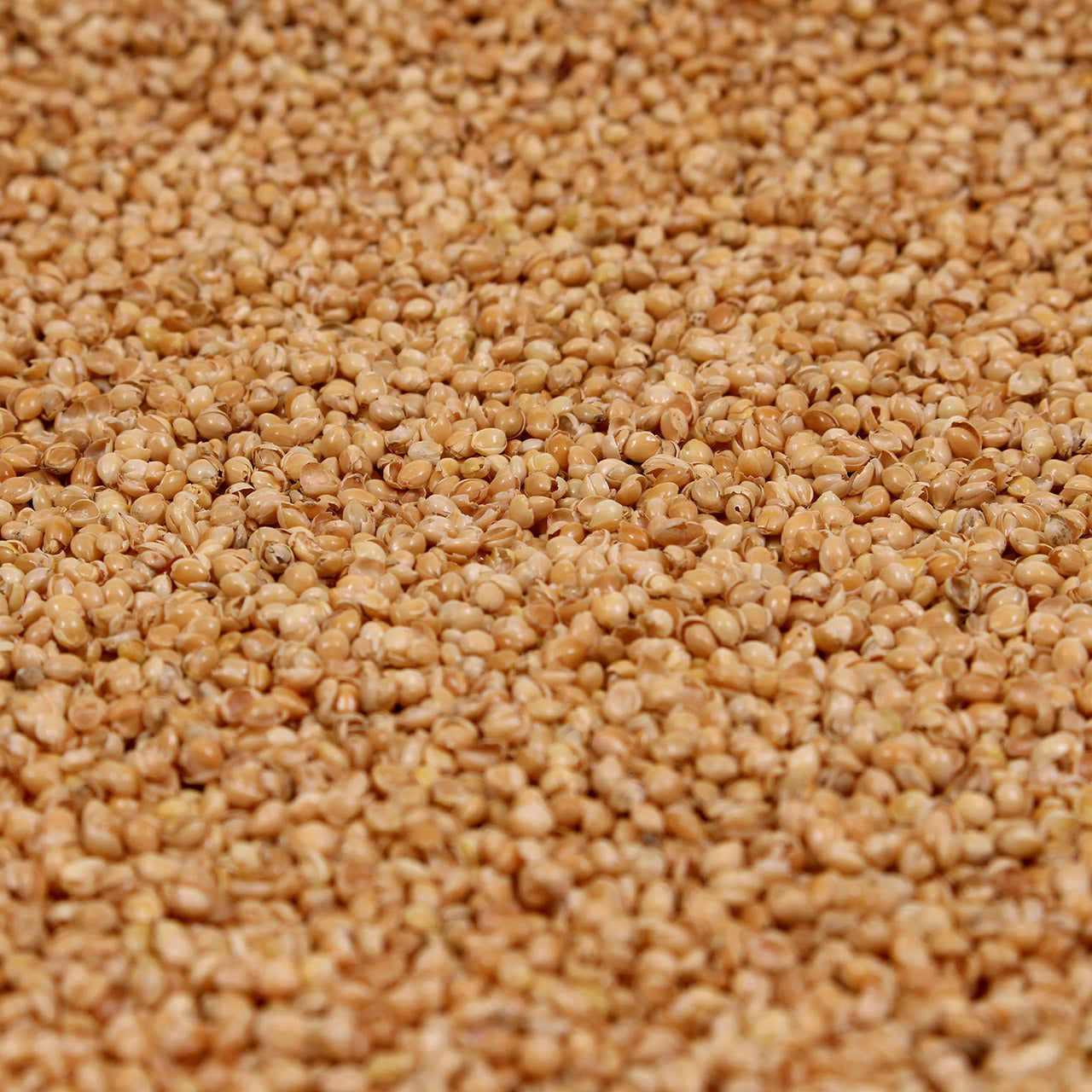 Mudis Nackenhörnchen mit Bio Hirse Füllung