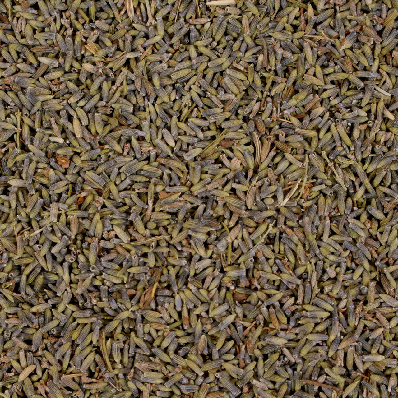 Mudis Nackenhörnchen mit Bio Hirse / Bio Lavendelblüten Füllung