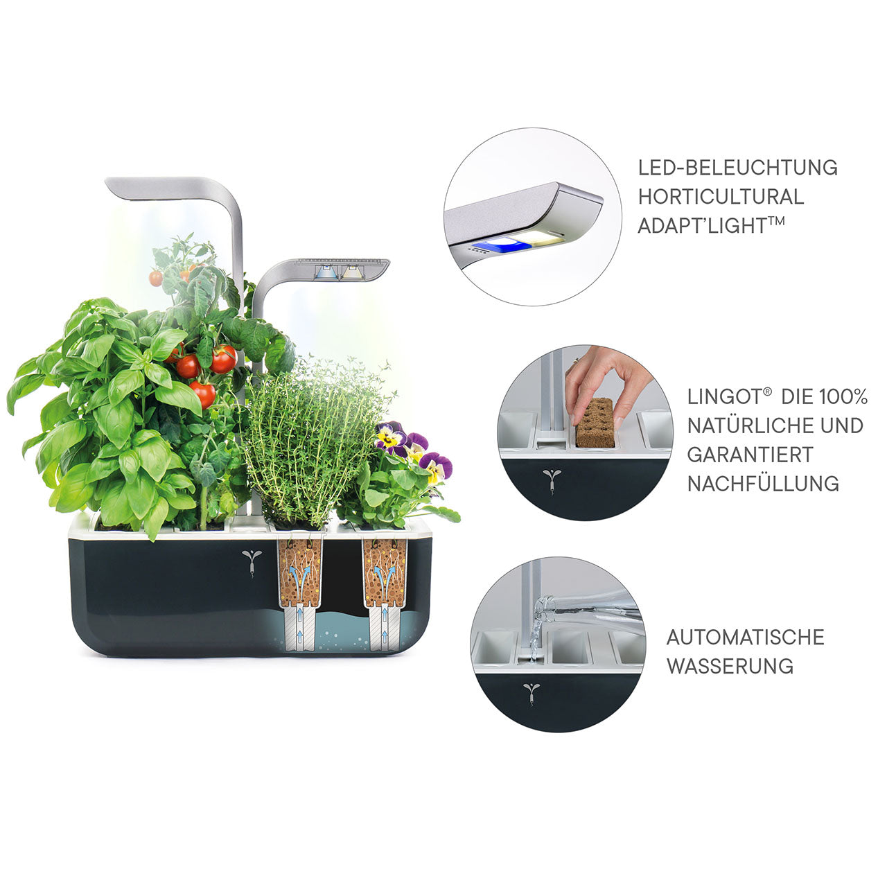 Veritable Smart Indoor Garten