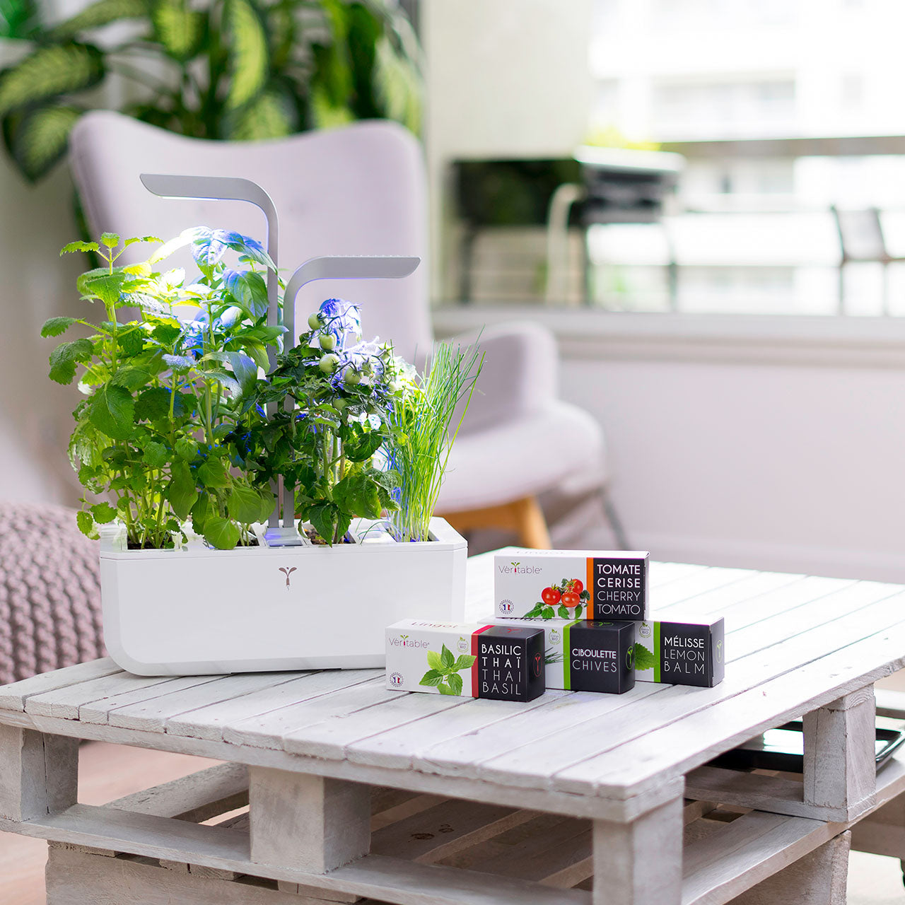 Veritable Smart Indoor Garten