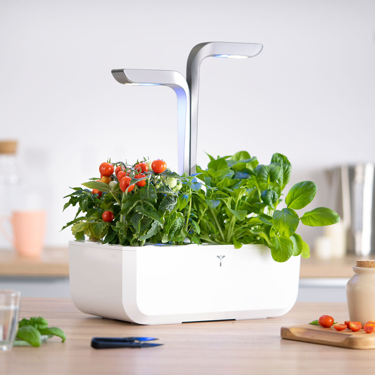 Veritable Smart Indoor Garten