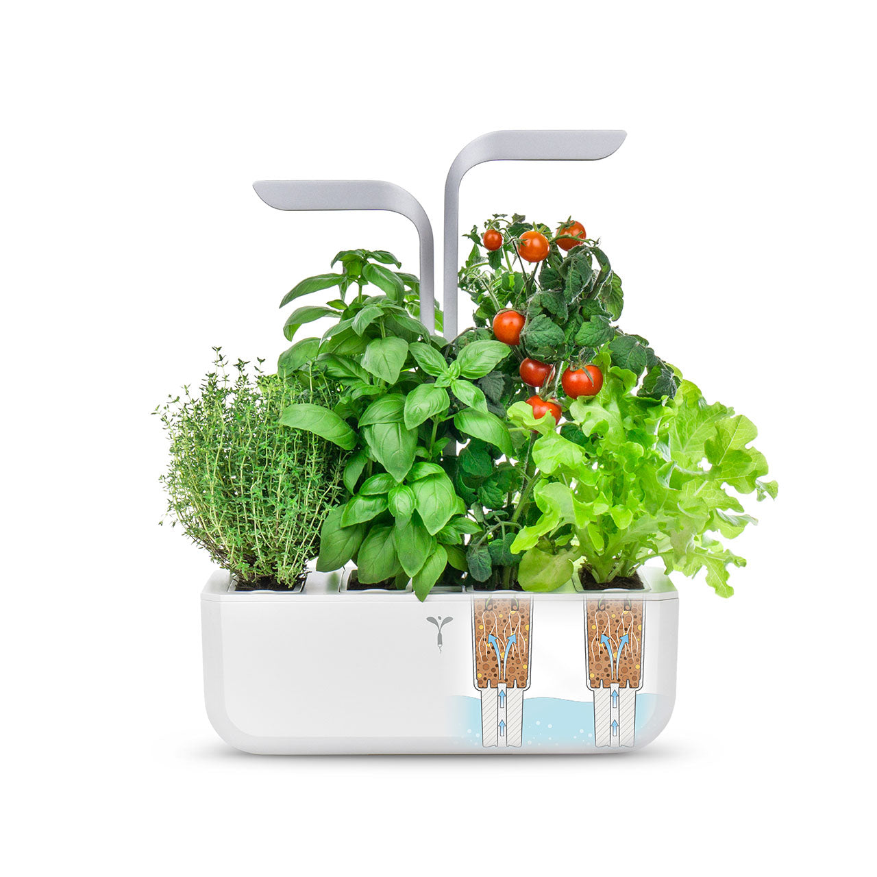 Veritable Smart Indoor Garten