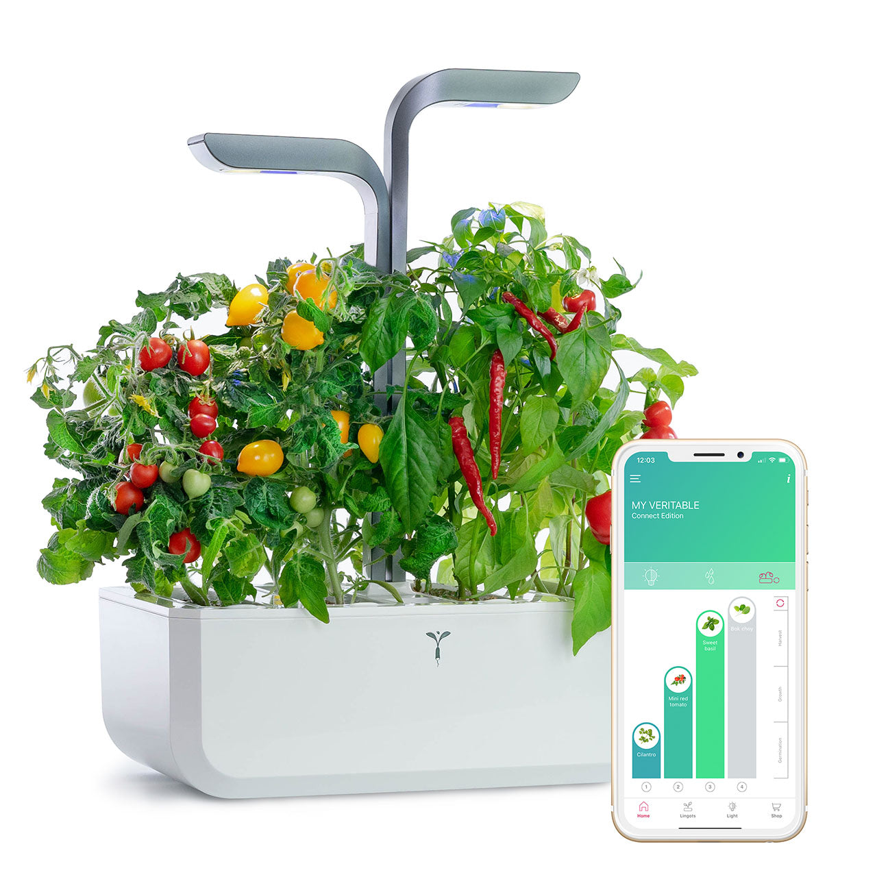 Veritable Connect Indoor Garten