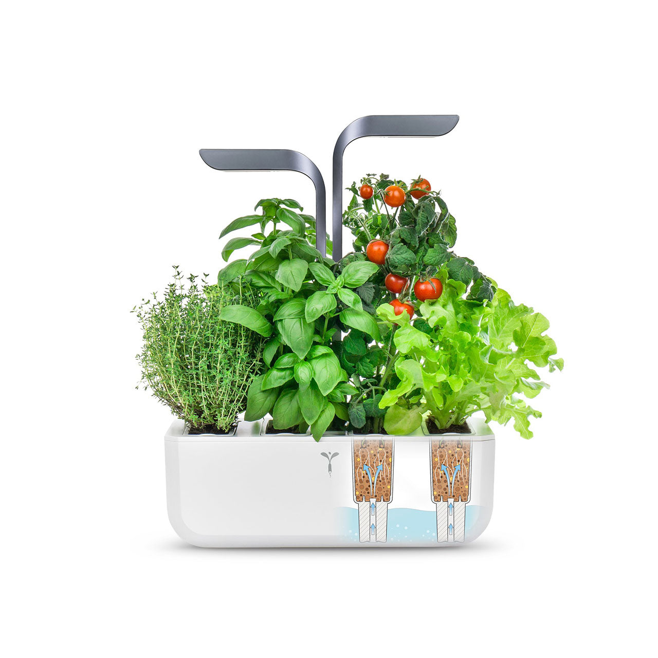 Veritable Connect Indoor Garten
