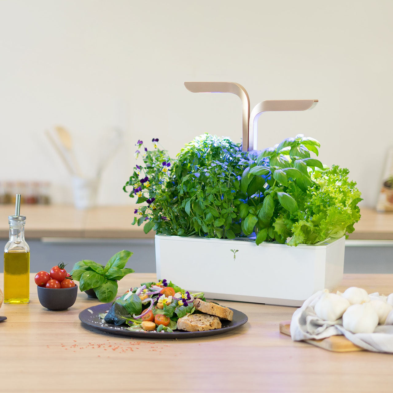 Veritable Connect Indoor Garten