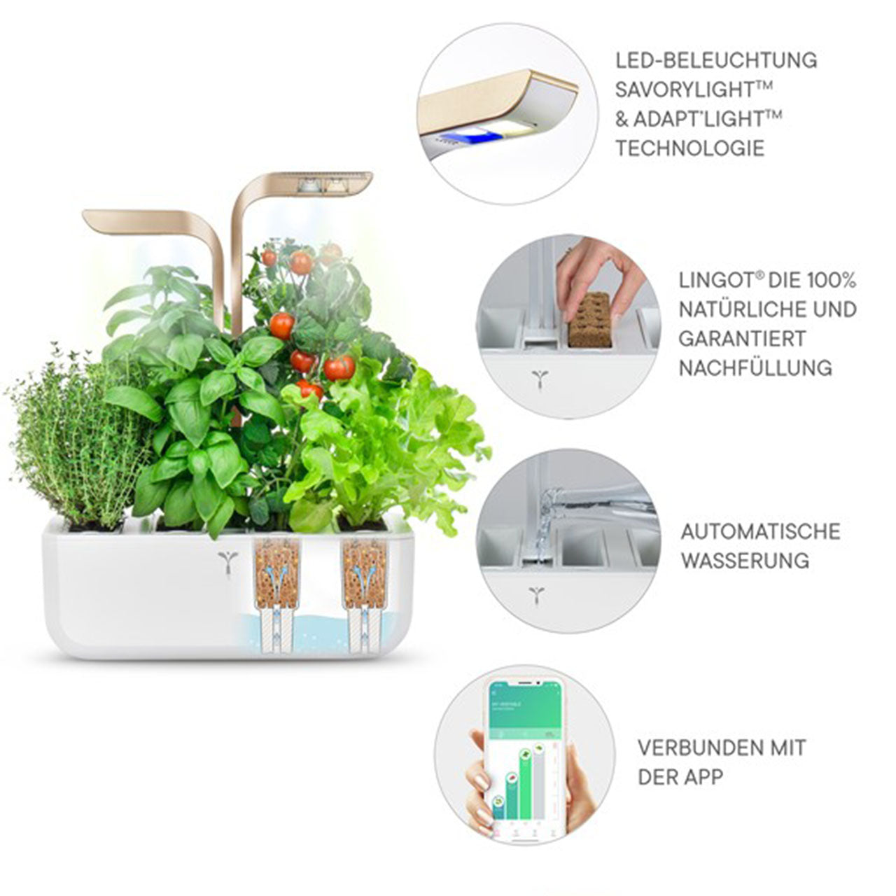 Veritable Connect Indoor Garten