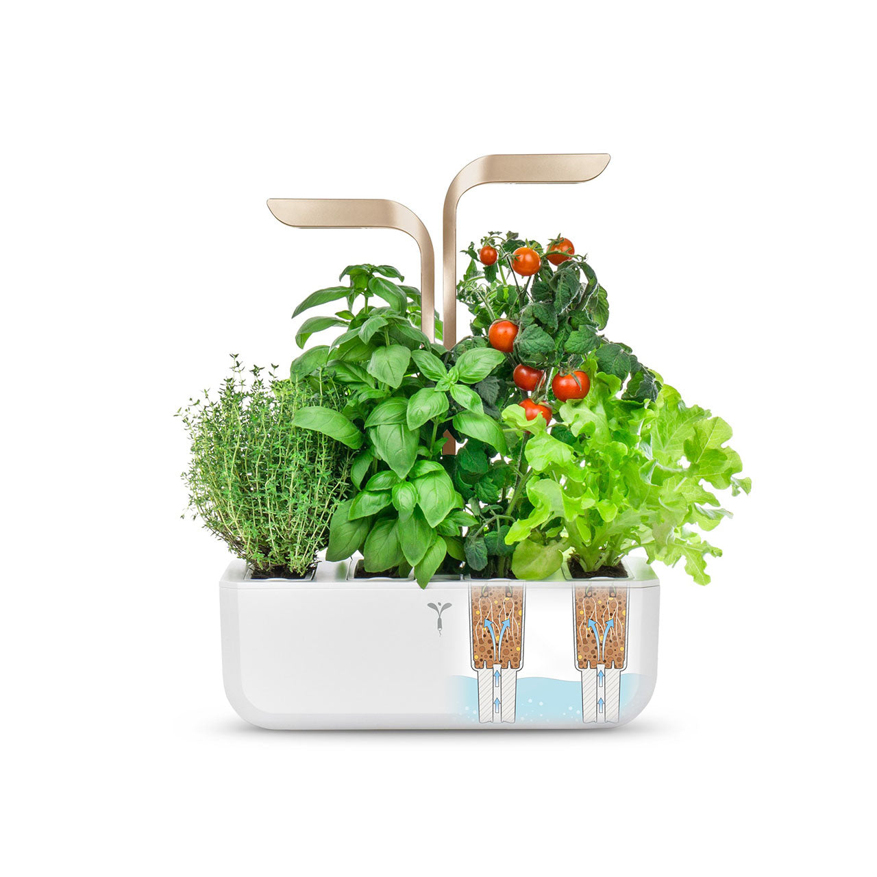 Veritable Connect Indoor Garten