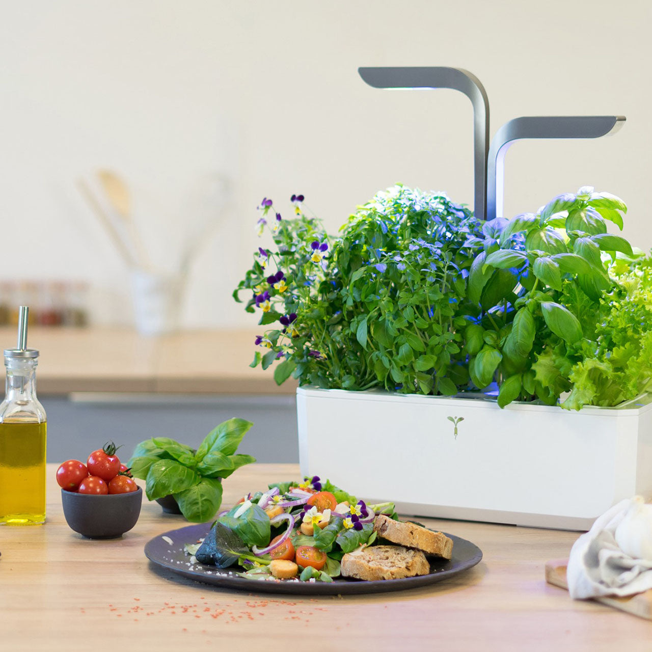 Veritable Connect Indoor Garten