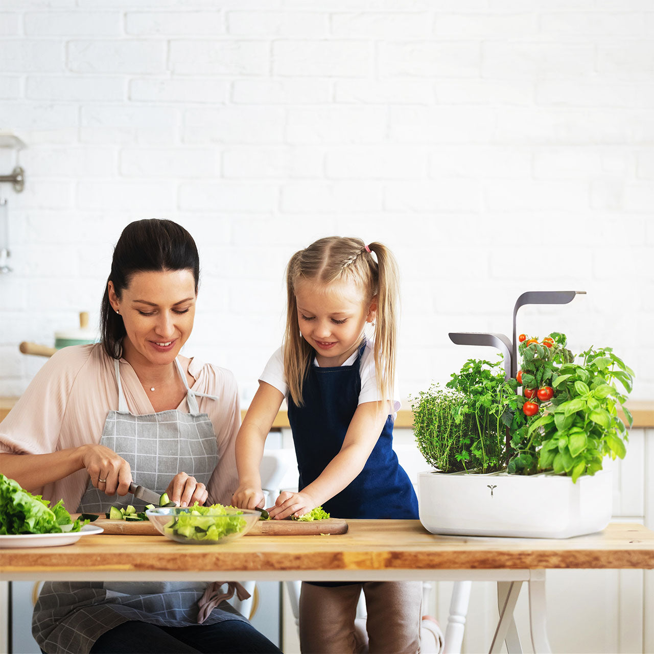 Veritable Connect Indoor Garten