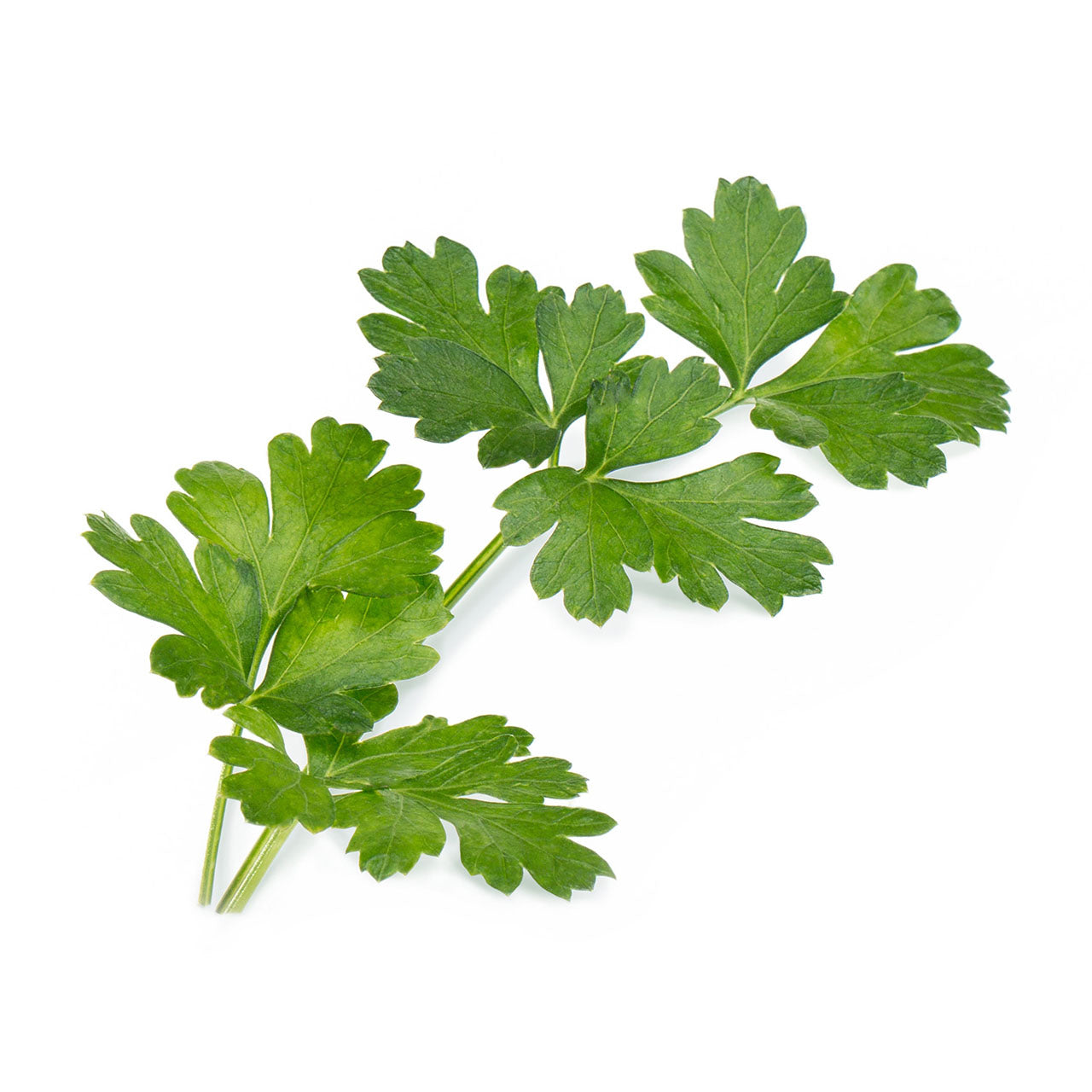 Veritable Lingot Nachfüllpack für Indoor Gärten