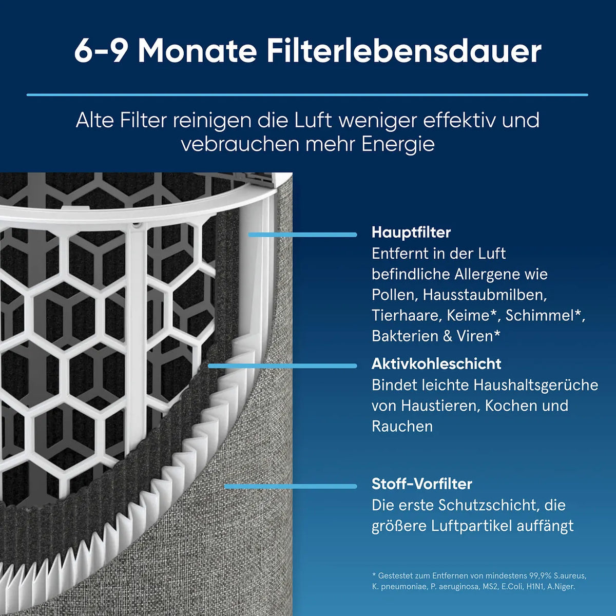 Grafik zum Blueair Luftreiniger-Filter: Hauptfilter, Aktivkohleschicht und Stoff-Vorfilter, Filterlebensdauer 6-9 Monate