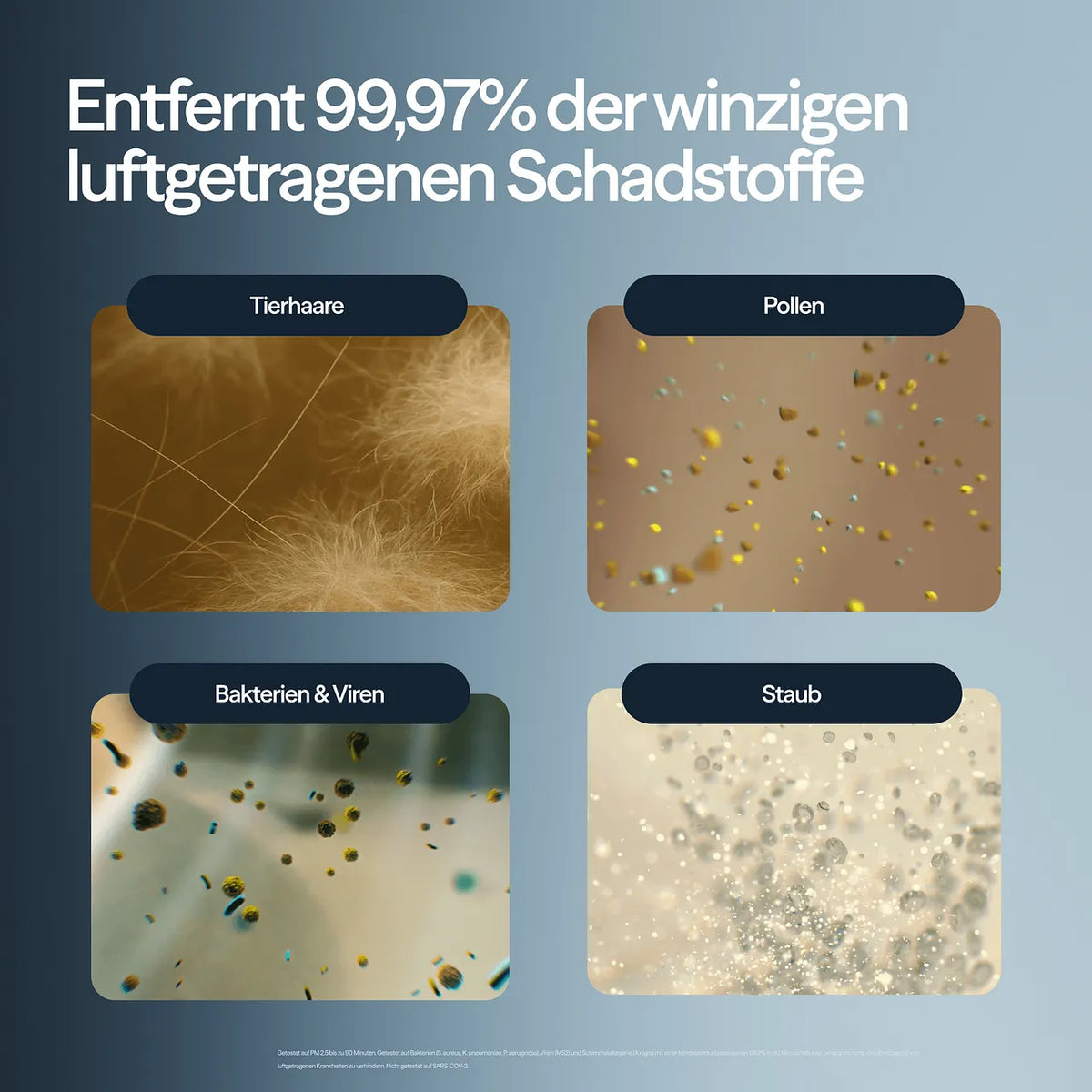 Grafik mit vier Mikroskop-Nahaufnahmen zu Tierhaaren, Pollen, Bakterien & Viren und Staub, Blueair Luftreiniger
